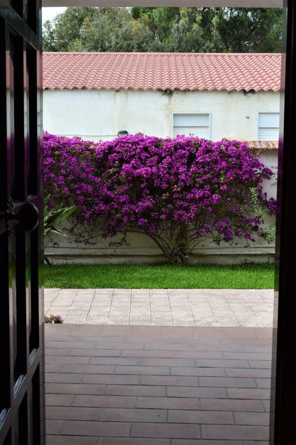 Apartmán Casa Bedda Agnone Bagni Exteriér fotografie